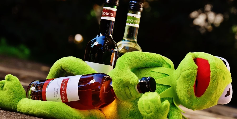 a stuffed frog laying on the ground next to a bottle of beer, inspired by Doug Ohlson, pexels, holding glass of wine, the muppets, elmo, holding wine bottle