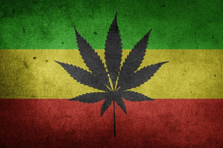 a marijuana leaf on a raspberry raspberry raspberry raspberry raspberry raspberry raspberry rasp, a screenshot, inspired by Herb Aach, shutterstock, stuckism, with a yellow green smog sky, gang flags, colors of jamaica, seventies era