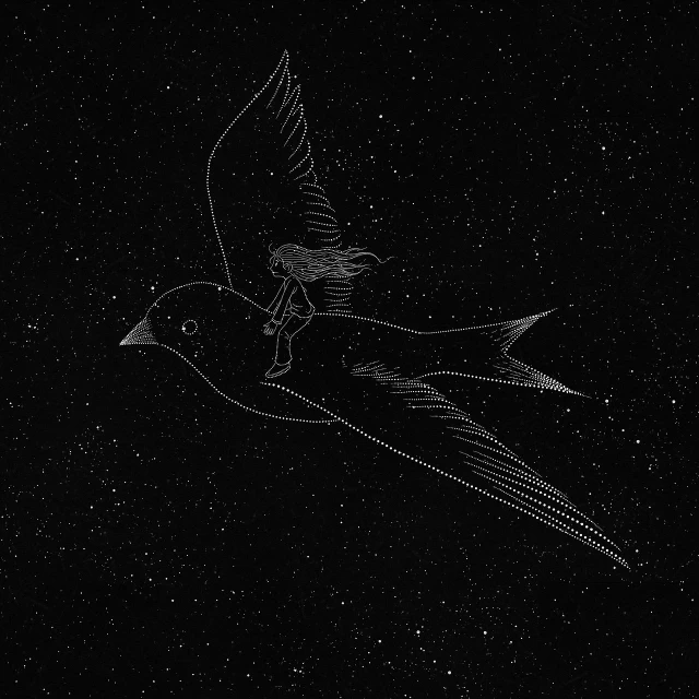 a drawing of a bird flying through the night sky, an engraving, tumblr, space art, hq 4k phone wallpaper, swift, thin line art, animated film still