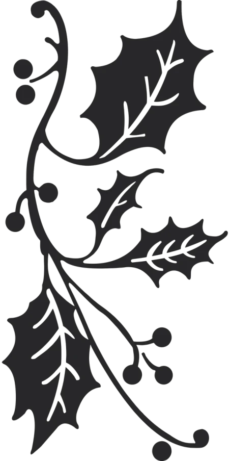 a black and white image of a holly branch, a woodcut, phone wallpaper, black backround. inkscape, beardsley, background image