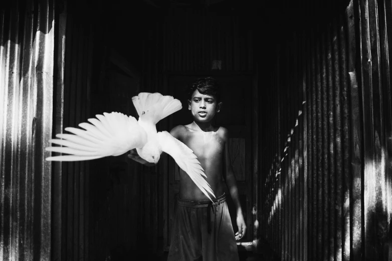 a black and white photo of a boy holding a bird, by Sudip Roy, art photography, magnum award winning photograph, play of light, majestic big dove wings, bangladesh