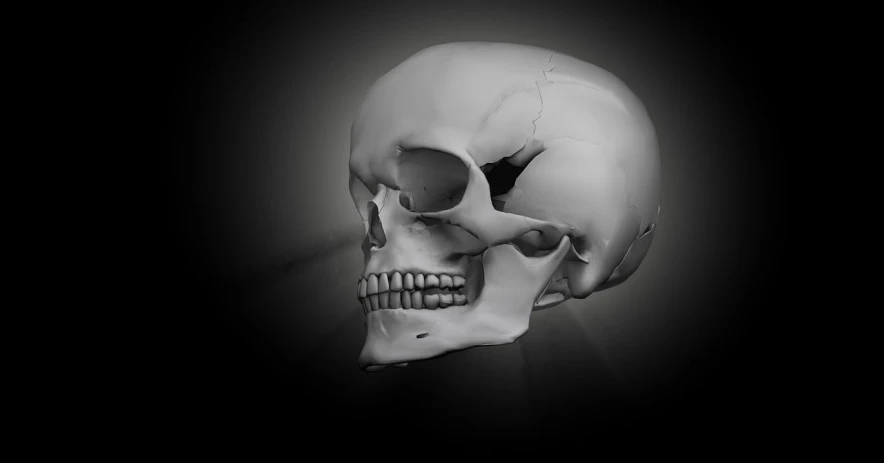 a black and white photo of a human skull, an ambient occlusion render, digital art, 3/4 view realistic, side view close up of a gaunt, airbrush render, skull cap