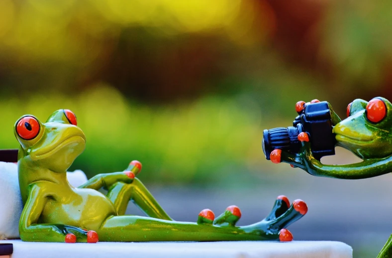 a close up of a figurine of a frog with a camera, by Zoran Mušič, pexels, afternoon hangout, bottom shot, hdr photo, wide image