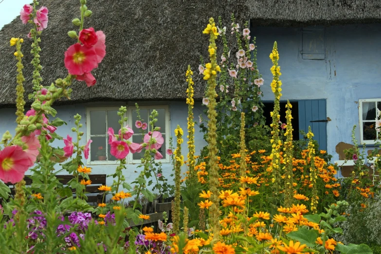 a blue house with a thatched roof surrounded by flowers, by Dietmar Damerau, shutterstock, full of colour 8-w 1024, ireland, flower garden summer morning, hoog detail