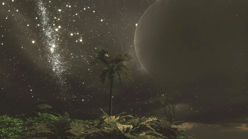 a palm tree sitting on top of a lush green field, cg society contest winner, space art, night covered in stars, ((octane render)), desolate gloomy planet, panspermia
