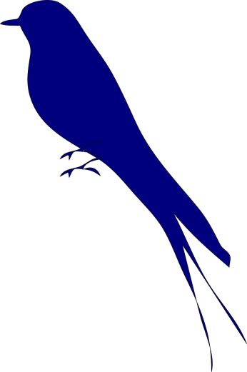 a blue bird sitting on top of a tree branch, an illustration of, by Andrei Kolkoutine, hurufiyya, black backround. inkscape, style of frank miller, high angle close up shot, tail fin