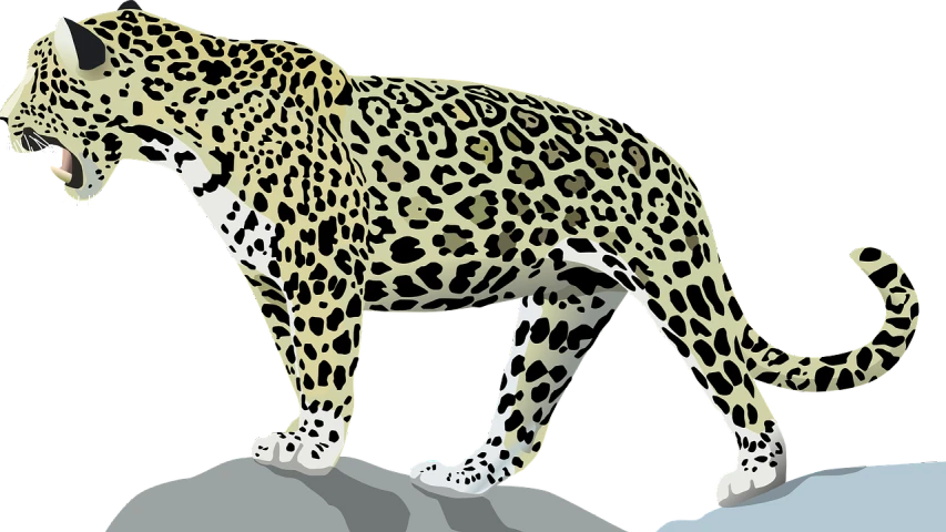 a leopard standing on top of a rock, an illustration of, by Dahlov Ipcar, trending on pixabay, digital art, right side profile, peruvian looking, lineless, banner
