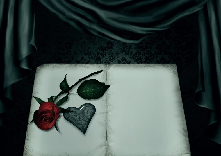 a red rose sitting on top of an open book, a storybook illustration, by Anna Füssli, romanticism, dark fantasy background, bed, above view, heart