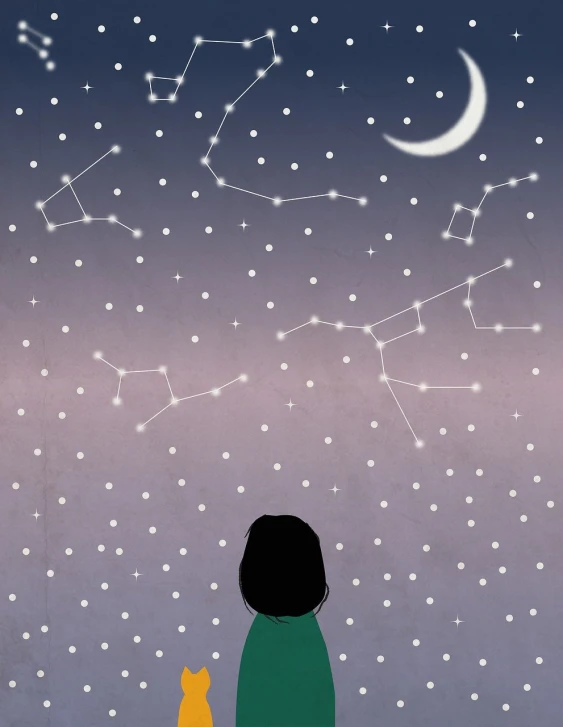 a girl and a cat looking at the stars, a minimalist painting, tumblr, wikihow illustration, constellations, distant full body view, stars and paisley filled sky