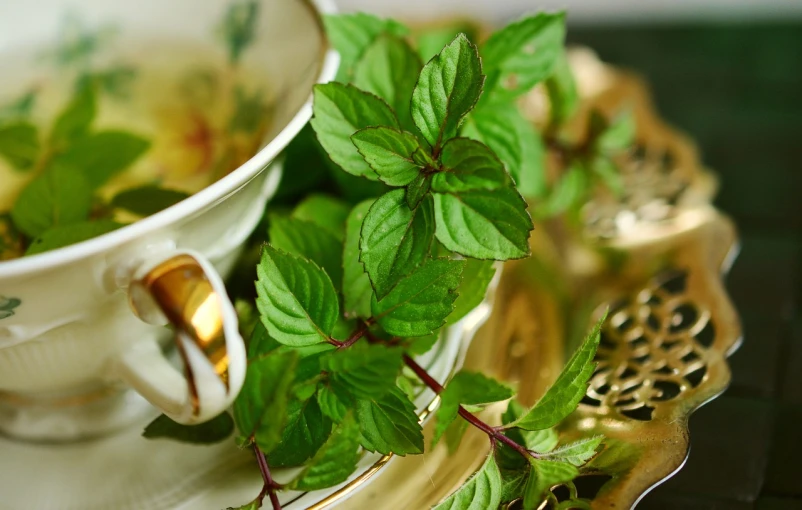 a close up of a cup and saucer on a table, hurufiyya, mint leaves, jaw dropping beauty, elaborate composition, peppermint motif