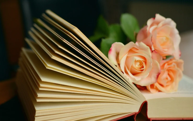 an open book sitting on top of a table next to a bunch of flowers, a picture, pixabay, romanticism, in shades of peach, photo of a rose, flirting, broad detail