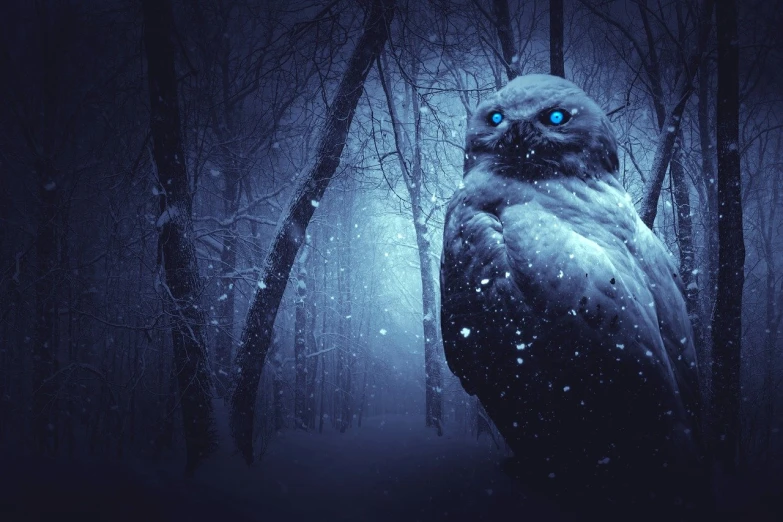a bird that is sitting in the snow, digital art, shutterstock, eerie glowing eyes, standing in the mystical forest, mid shot photo, blue-eyed