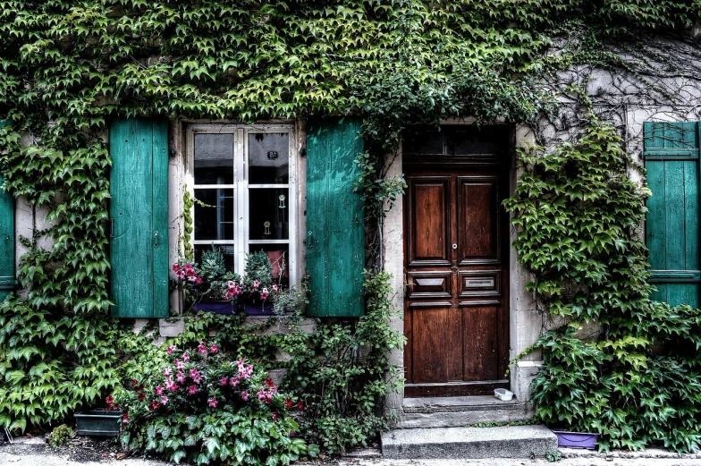 a house with green shutters and a red fire hydrant, a photo, by Eugene Leroy, renaissance, rich vines and verdant flowers, big french door window, street of teal stone, hanging vines