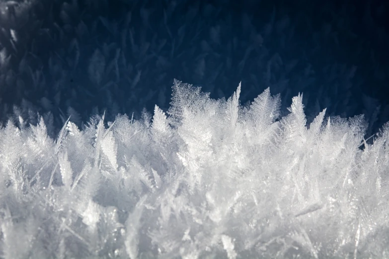 a bunch of ice crystals sitting on top of a snow covered field, a macro photograph, inspired by Arthur Burdett Frost, flickr, close - up profile, woo kim, atmospheric”