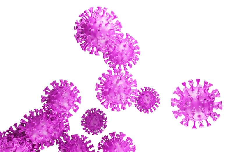 a group of purple coronaviruss on a black background, a digital rendering, istockphoto, central shot, beauty is a virus, photo shot