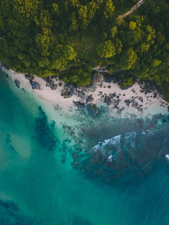 an aerial view of a beach surrounded by trees, by Seb McKinnon, reunion island landscape, amazing depth, the emerald coast, view from below