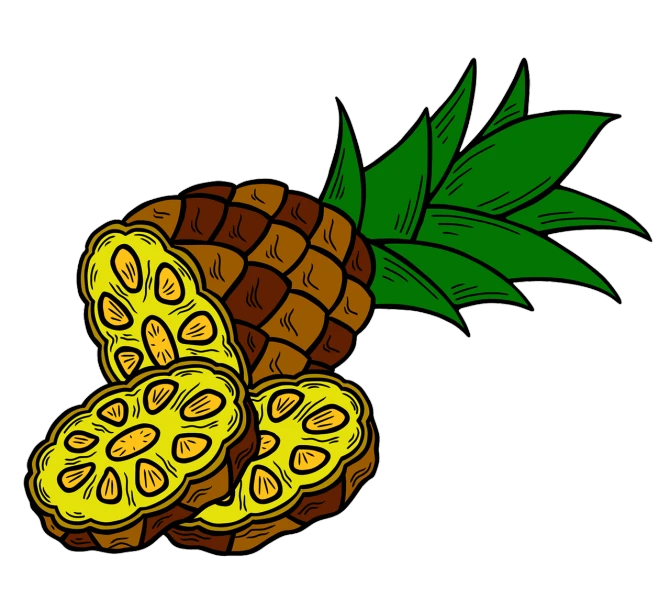 a piece of pineapple next to a piece of pineapple, an illustration of, on a flat color black background, patch design, colored woodcut, snacks