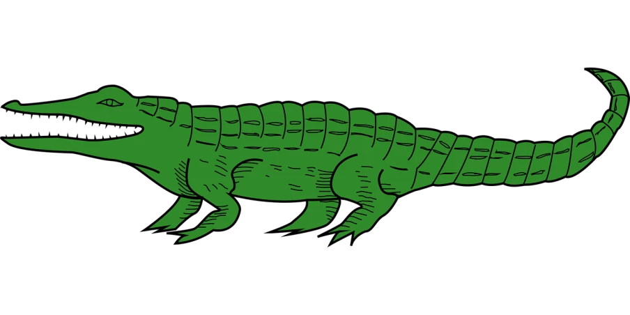 a green alligator on a black background, an illustration of, by Matthew D. Wilson, trending on pixabay, hurufiyya, thick vector line art, above side view, wikihow illustration, fossil