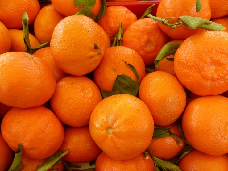 a pile of oranges sitting on top of each other, by Dietmar Damerau, detailed zoom photo, unedited, am a naranbaatar ganbold, full subject shown in photo