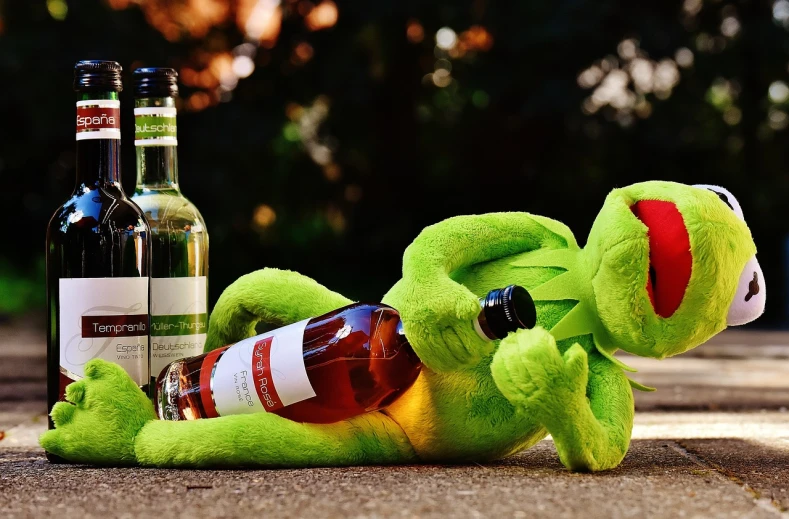 a stuffed frog laying on the ground next to a bottle of wine, pexels, visual art, kermit the frog, drunken boxing, avatar image, whiskey