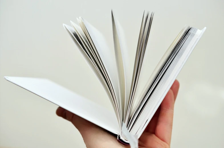 a person holding an open book in their hand, by Jan Rustem, cardstock, closeup photo, diy, white paper