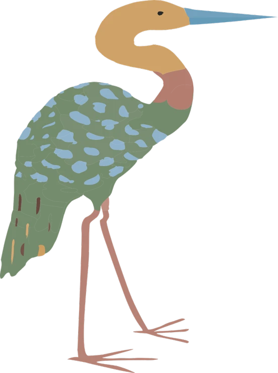 a bird with a long beak standing in front of a black background, an illustration of, mingei, green legs, spotted, 1128x191 resolution, loosely cropped