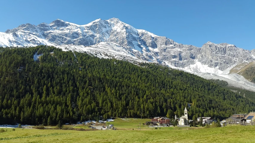 a herd of cattle grazing on top of a lush green field, a picture, by Werner Andermatt, pixabay, les nabis, with snow on its peak, hideen village in the forest, church in the background, italy