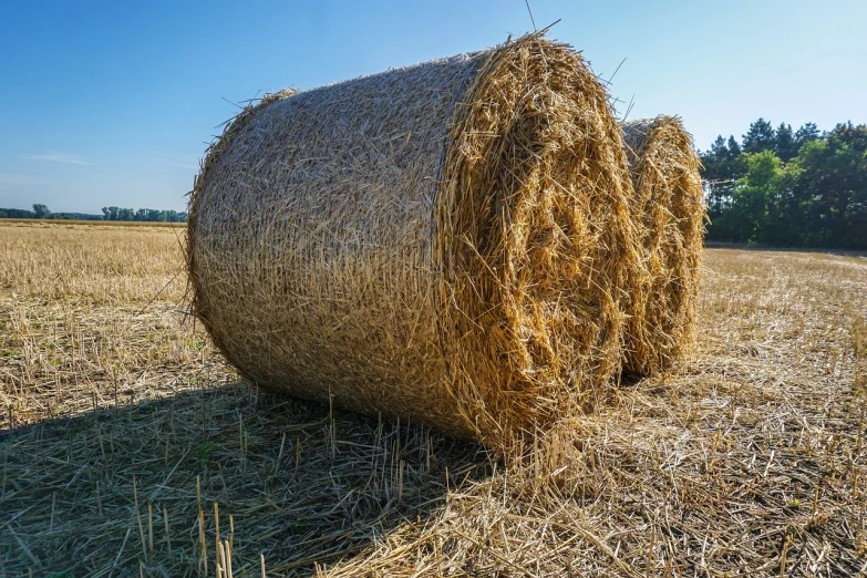 a hay bale in a field with trees in the background, a picture, shutterstock, very detailed picture, high detail product photo, twins, portait photo