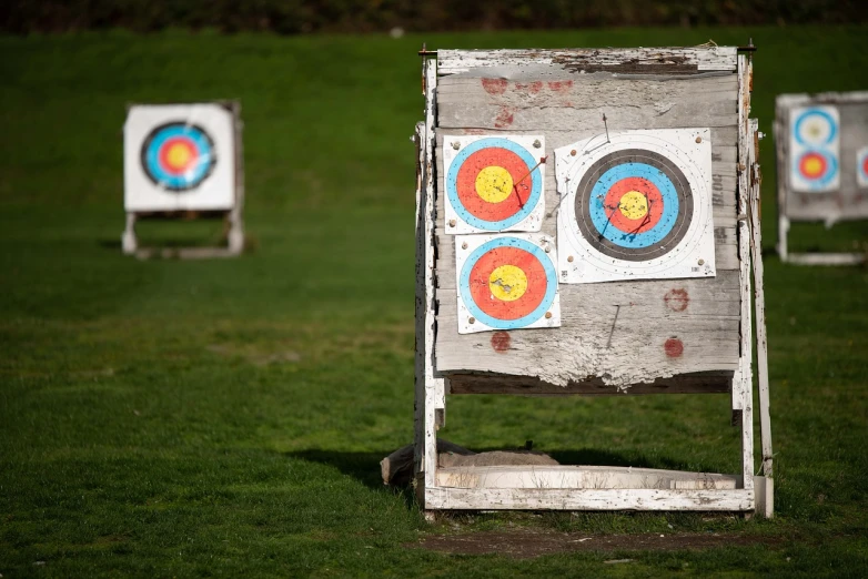 a group of archery targets sitting on top of a lush green field, a picture, by Richard Carline, shutterstock, indoor shot, face shot, rustic, panels
