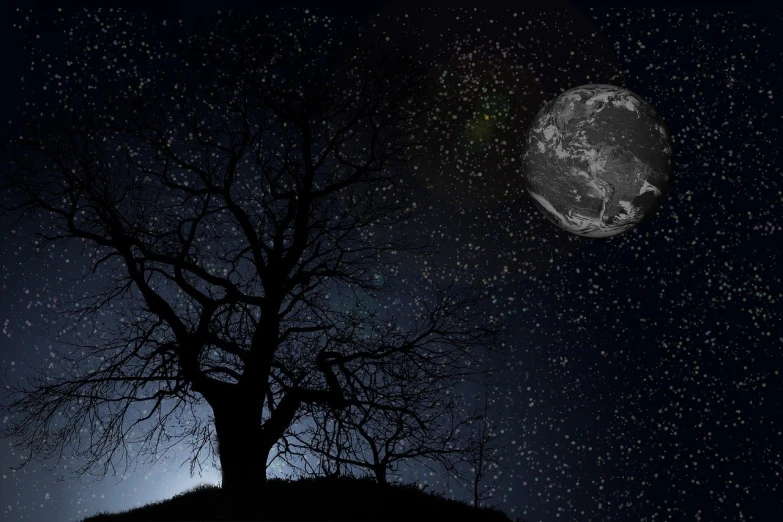 a tree on a hill with a full moon in the background, flickr, space art, with a star - chart, dying earth, black sky full of stars, big planet on background