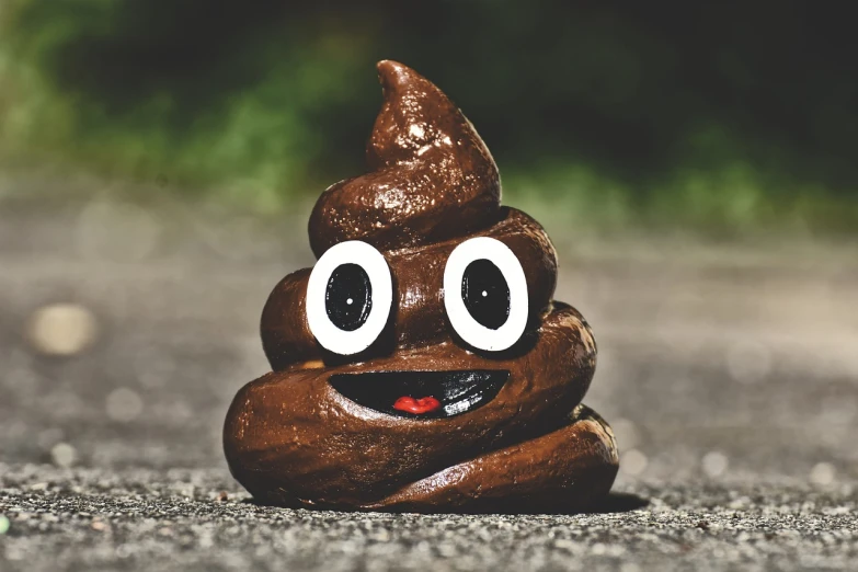 a brown poop with googly eyes sitting on the ground, a picture, unsplash, purism, 😃😀😄☺🙃😉😗, photo-shopped, winking at the camera, dripping tar