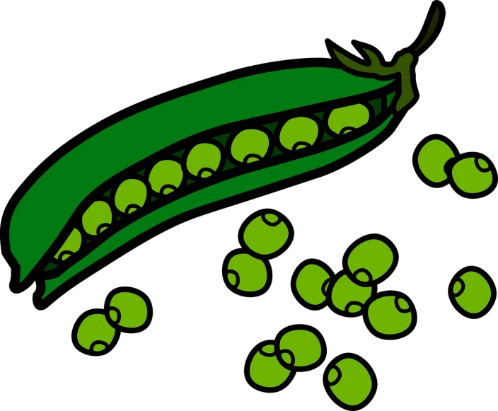 a green pea on a black background, a digital rendering, inspired by Masamitsu Ōta, mingei, wikihow illustration, seeds, full color illustration, random background scene