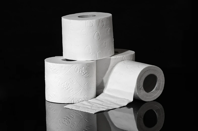 three rolls of toilet paper stacked on top of each other, a stock photo, by Jakob Gauermann, pixabay, happening, in front of a black background, fart, porcelain organic tissue, 17th-century