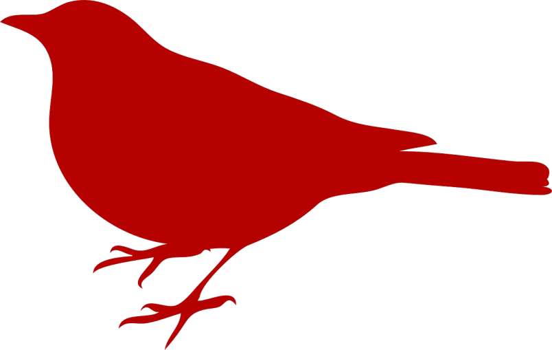 a red bird on a black background, inspired by Sugimura Jihei, pixabay, mingei, banner, side view centered, pale red, sitting