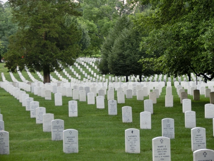 a field of headstones with trees in the background, a photo, flickr, pentagon, july 2 0 1 1, with a skeleton army, journalism photo