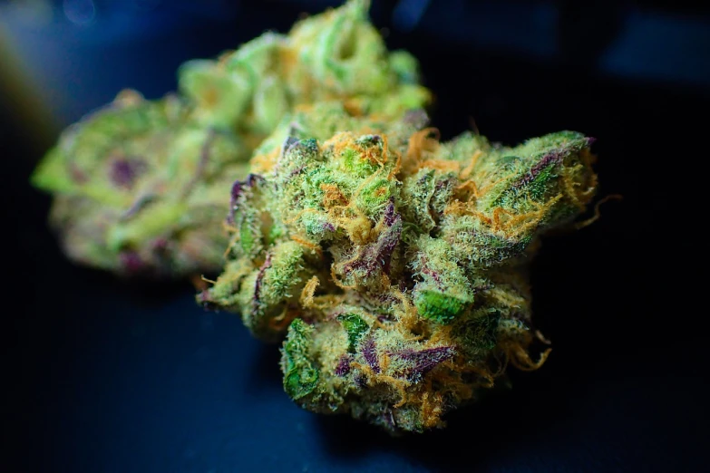 a close up of a flower on a table, nug pic, green and purple, high grain, fluffy''