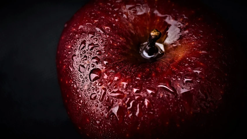 a red apple with water droplets on it, a macro photograph, by Jan Rustem, superb detail 8 k, shot on nikon z9, iphone background, photorealism. trending on flickr