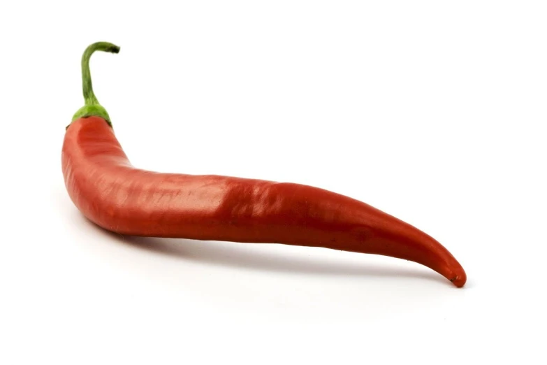 a red hot pepper on a white background, a picture, by Juan O'Gorman, trending on pixabay, rasquache, including a long tail, ivan bolivian, wide wide shot, istockphoto
