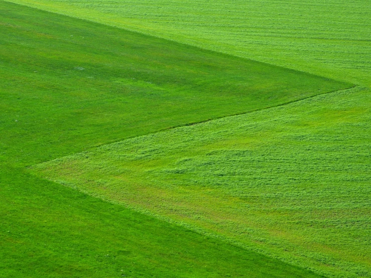 a couple of cows standing on top of a lush green field, a stock photo, color field, geometric abstraction, mowing of the hay, on a soccer field, abstract texture