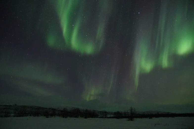 the aurora bore lights up the night sky, a picture, by Erwin Bowien, flickr, hurufiyya, nina tryggvadottir, panels, bright sky, video still