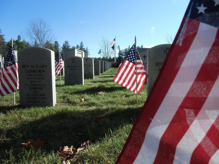 a group of flags sitting on top of a grass covered field, graveside, scott m fischer, hero shot, november
