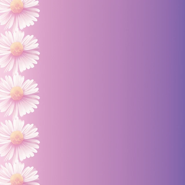 a pink and purple background with white daisies, rasquache, gradient darker to bottom, けもの, 1128x191 resolution, lined up horizontally