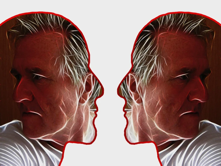 a close up of a person's face in a mirror, digital art, by Matt Stewart, facing each other, portrait of gordon ramsay, symmetrical face and full body, tinnitus