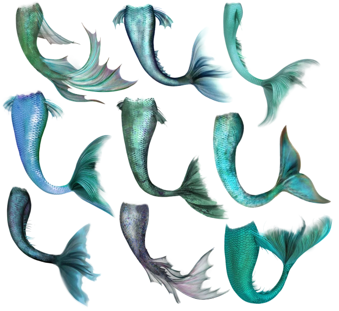 a group of fish sitting on top of a black surface, a digital rendering, mermaid tail, painted in high resolution, teals, super detail of each object