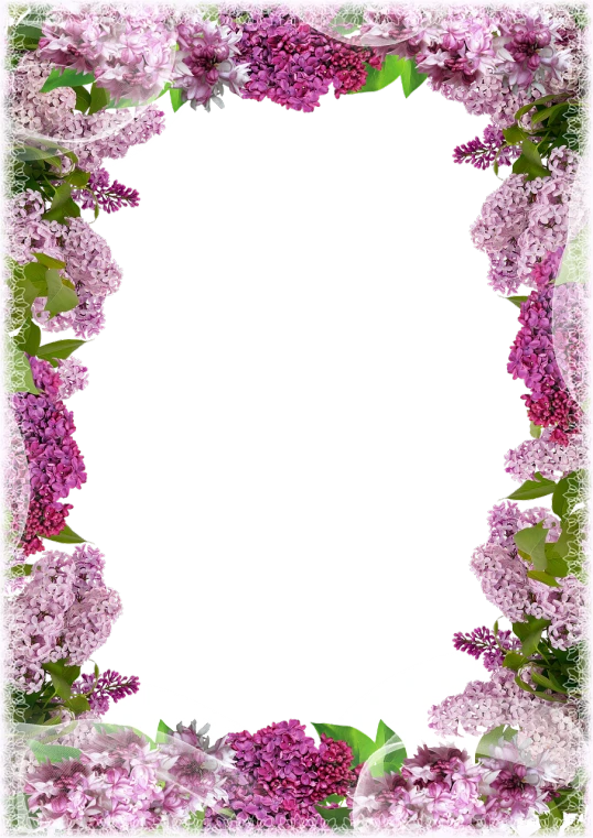 a frame with a bunch of purple flowers, a picture, merged, document photo, black color background, portlet photo