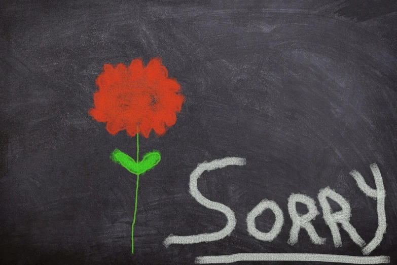 a chalkboard with the word sorry written on it, a screenshot, inspired by Joe Sorren, sots art, red flower, switzerland, soft colore, sap