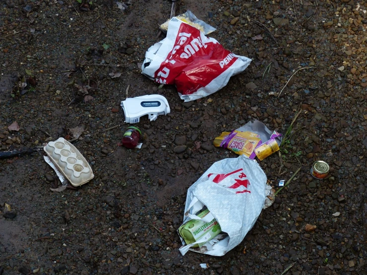 a couple of bags of food sitting on the ground, by Richard Carline, flickr, vanitas, beer being drank and spilled, morning detail, delete, bits of broken light