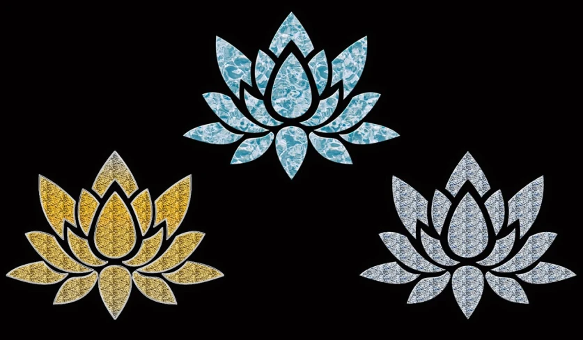 a close up of three flowers on a black background, a mosaic, inspired by Sesshū Tōyō, pixabay, cloisonnism, lotus pose, gold and blue, merged, crystal water