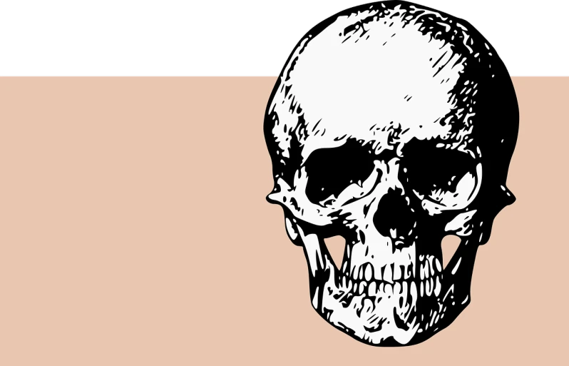 a black and white drawing of a skull, a digital rendering, minimalism, banner, color and contrast corrected, foreground background, tanned skintone