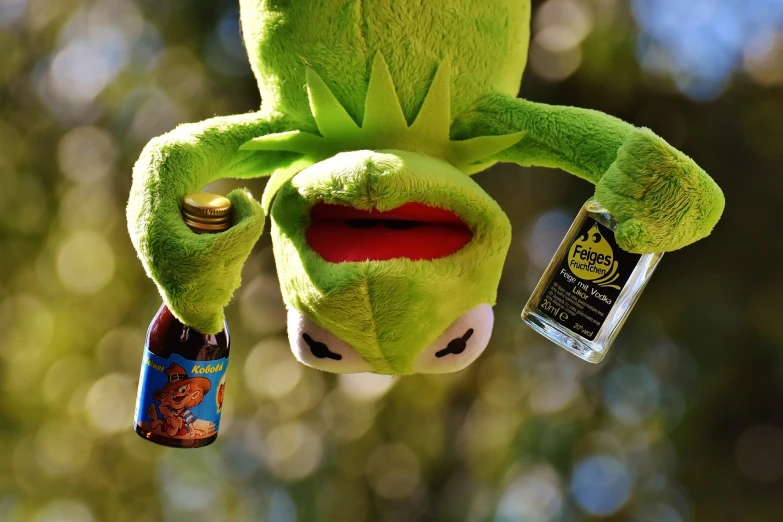 a close up of a stuffed animal with a bottle of beer, a picture, by Tom Carapic, kermit, drinking cough syrup, mr. grinch, products shot